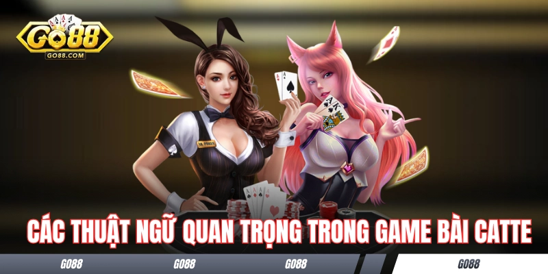 Bài Catte GO88 - Tìm Hiểu Cách Chơi Bài Độc Đáo Từ Ấn Độ 2 Các thuật ngữ quan trọng trong một ván bài Catte